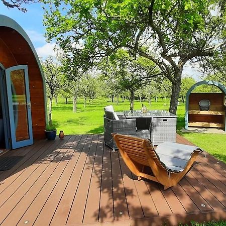 Orchard Farm Luxury Glamping And Campsite グラストンベリー エクステリア 写真
