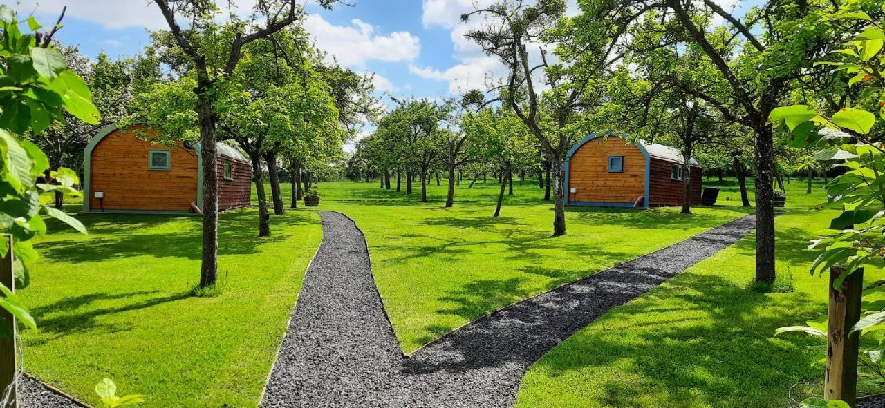 Orchard Farm Luxury Glamping And Campsite グラストンベリー エクステリア 写真