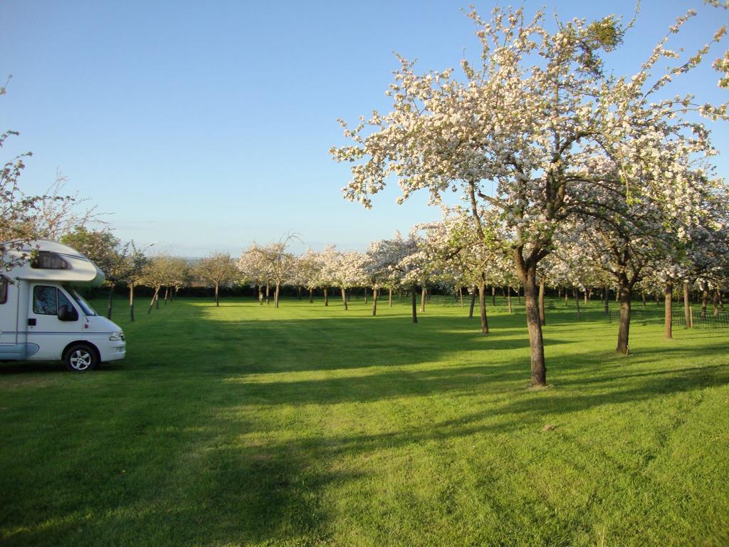 Orchard Farm Luxury Glamping And Campsite グラストンベリー エクステリア 写真