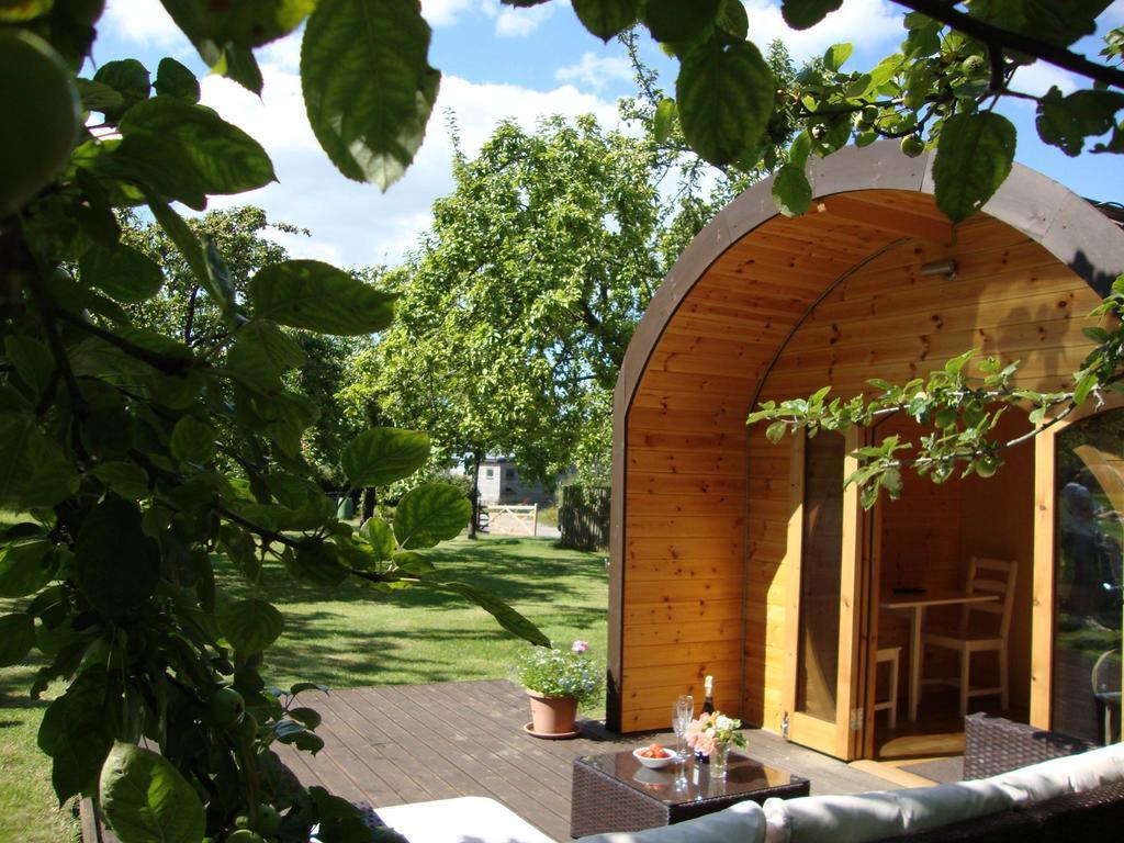 Orchard Farm Luxury Glamping And Campsite グラストンベリー エクステリア 写真