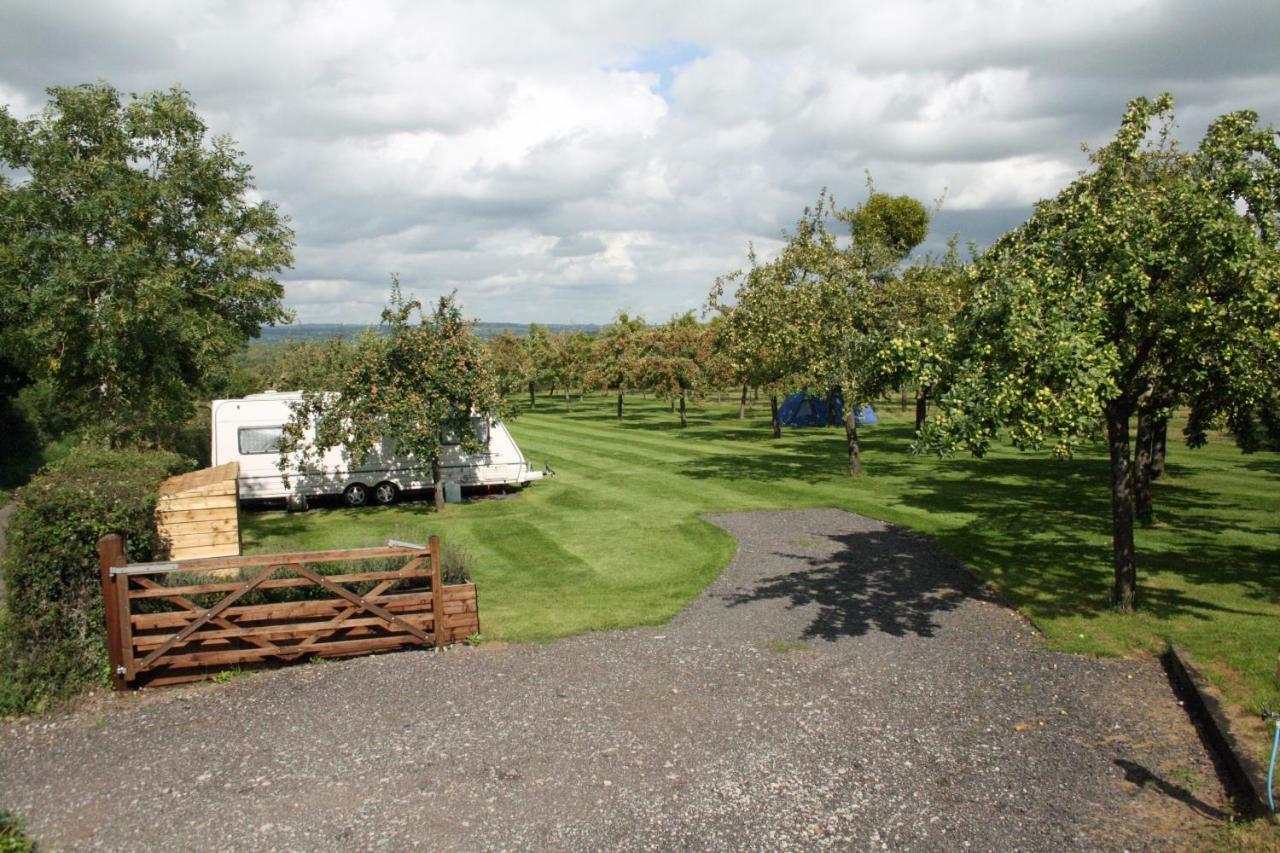 Orchard Farm Luxury Glamping And Campsite グラストンベリー エクステリア 写真
